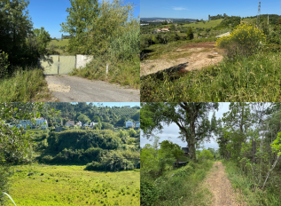 PRÉDIO URBANO - TERRENO DE CONSTRUÇÃO | CASA DESTINADA A ARRUMAÇÕES | PRÉDIO URBANO - TERRENO DE CONSTRUÇÃO  | TERRENO DE PASTAGEM COM OLIVEIRAS, PINHAL E MATO