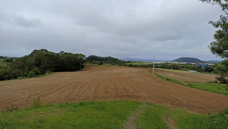 TERRENO RÚSTICO COM 2.800M2 EM RIBEIRA SECA - RIBEIRA GRANDE PONTA DELGADA - AÇORES