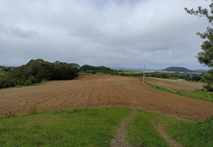 TERRENO RÚSTICO COM 4.340 m2 EM RIBEIRA SECA - RIBEIRA GRANDE - PONTA DELGADA - AÇORES