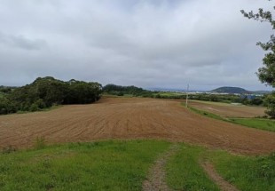 TERRENO RÚSTICO COM 5.640 m2 EM RIBEIRA SECA - RIBEIRA GRANDE - PONTA DELGADA - AÇORES