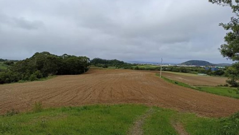 TERRENO RÚSTICO COM 5.640 m2 EM RIBEIRA SECA - RIBEIRA GRANDE - PONTA DELGADA - AÇORES