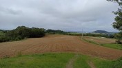 TERRENO RÚSTICO COM 2.900 m2 EM RIBEIRA SECA - RIBEIRA GRANDE PONTA DELGADA - AÇORES