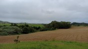 TERRENO RÚSTICO COM 6.000 m2 EM RIBEIRA SECA - RIBEIRA GRANDE PONTA DELGADA - AÇORES