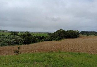 TERRENO RÚSTICO COM 6.000 m2 EM RIBEIRA SECA - RIBEIRA GRANDE PONTA DELGADA - AÇORES