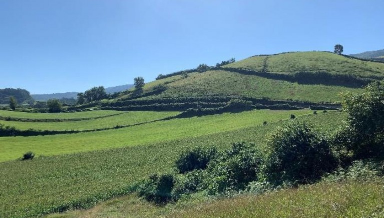 TERRENO RÚSTICO COM 9.824 m2 EM RIBEIRA SECA - RIBEIRA GRANDE PONTA DELGADA  - AÇORES