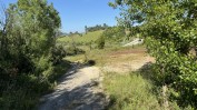 PRÉDIO URBANO - TERRENO DE CONSTRUÇÃO COM 3.000 m2 - COPEIRA