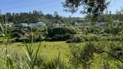 PRÉDIO URBANO - TERRENO DE CONSTRUÇÃO COM 7.500 m2 - COPEIRA