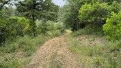 TERRENO DE PASTAGEM COM OLIVEIRAS, PINHAL E MATO COM 13.000 m2