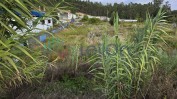 PRÉDIO RUSTICO SITUADO EM RELVA GRANDE COM ÁREA TOTAL DE 650 M2 COMPOSTO POR “TERRA DE VINHA COM OLIVEIRAS”