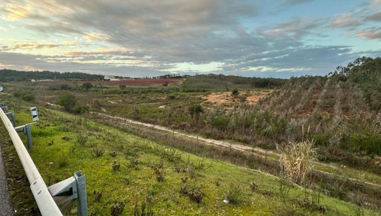 PRÉDIO RÚSTICO – COMPOSTO POR PINHAL E MATO SITO NA QUINTA DA VERGIEIRA, VALE DA MURTA COM ÁREA TOTAL DE 31047 m2